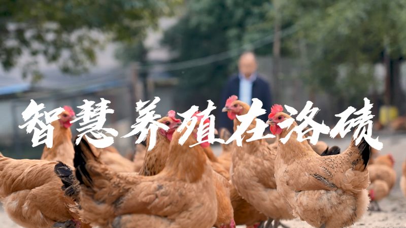 酶制剂质量检测：关键步骤与注意事项**