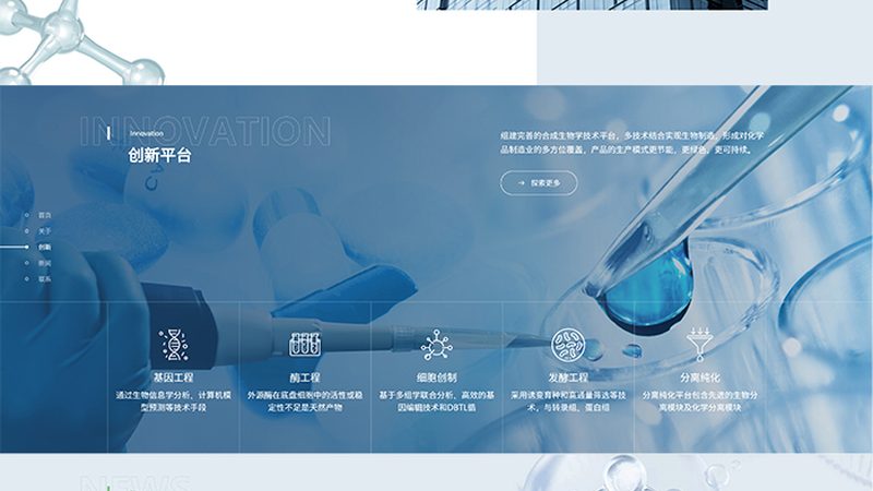 实体瘤靶向基因检测：关键参数解读与选型要点**