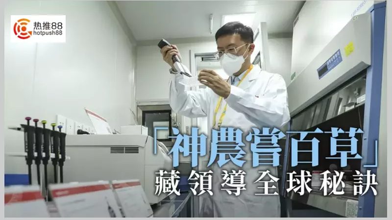参数解析：关键指标识别