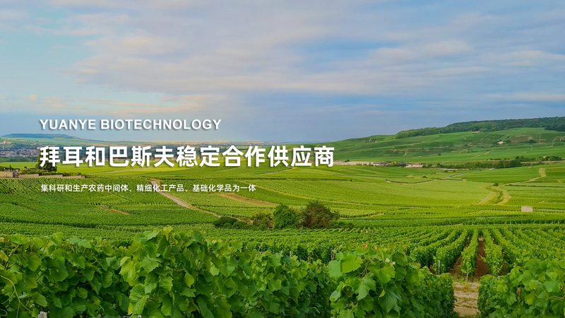 细胞工厂设备参数：揭秘高效细胞培养的关键
