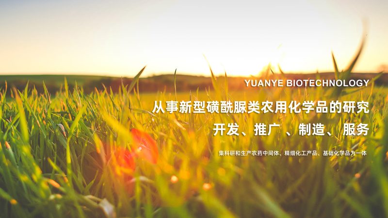 抗体亲和力测定与ELISA：技术差异与应用解析**