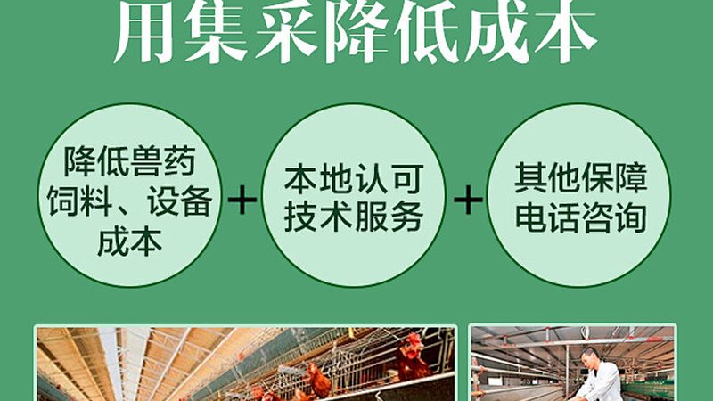 酶制剂国家标准下的厂家选择：关键考量因素解析**