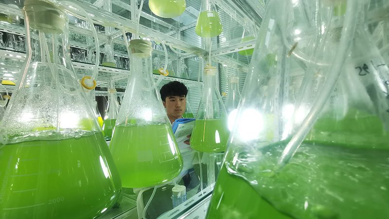 cro策略工具哪家强